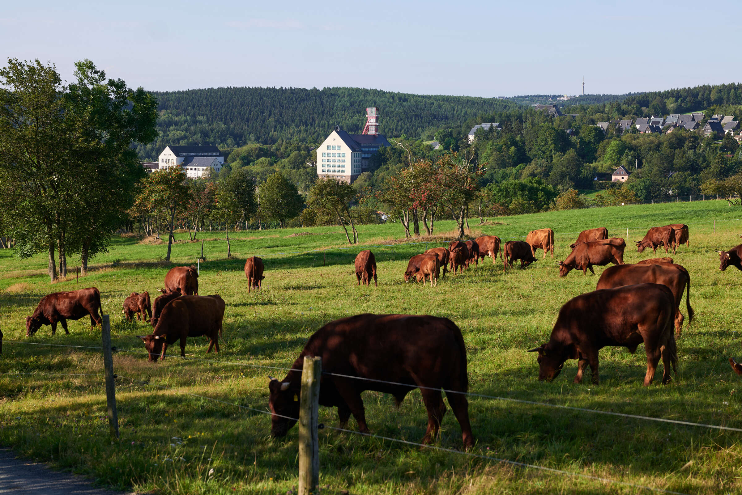 Lithium Erzgebirge / für F.A.Z.