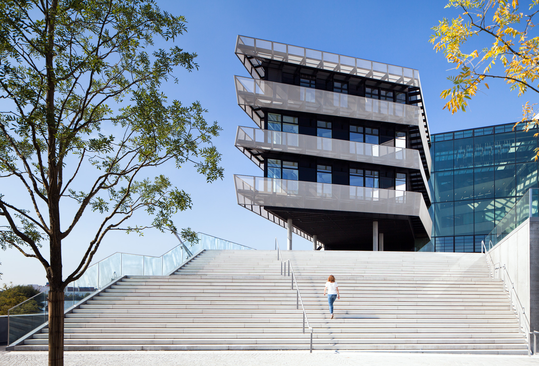HCU Hamburg / Architektur